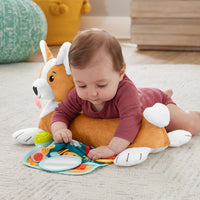 Thumbnail for Jucărie pentru tummy time în formă de cățel, Fisher Price, 0-1 an