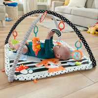 Thumbnail for Saltea Muzicala 3 In 1 Cu Centru De Activitati pentru Bebeluși, Fisher Price, 0-1 an