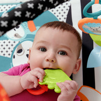 Thumbnail for Saltea Muzicala 3 In 1 Cu Centru De Activitati pentru Bebeluși, Fisher Price, 0-1 an